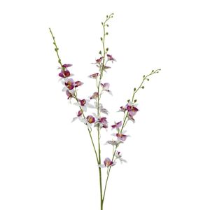 Orchidea 3018125mm-50