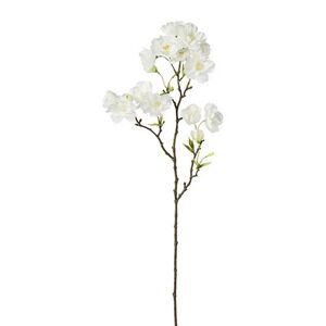 Vetvička S Čerešňovým Kvetom 1219014ce-40